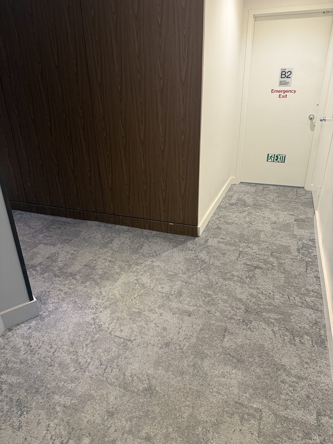 Hallway carpet after cleanup