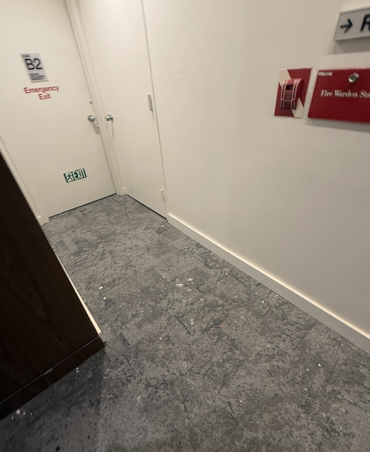 Hallway carpet with construction debris before cleaning